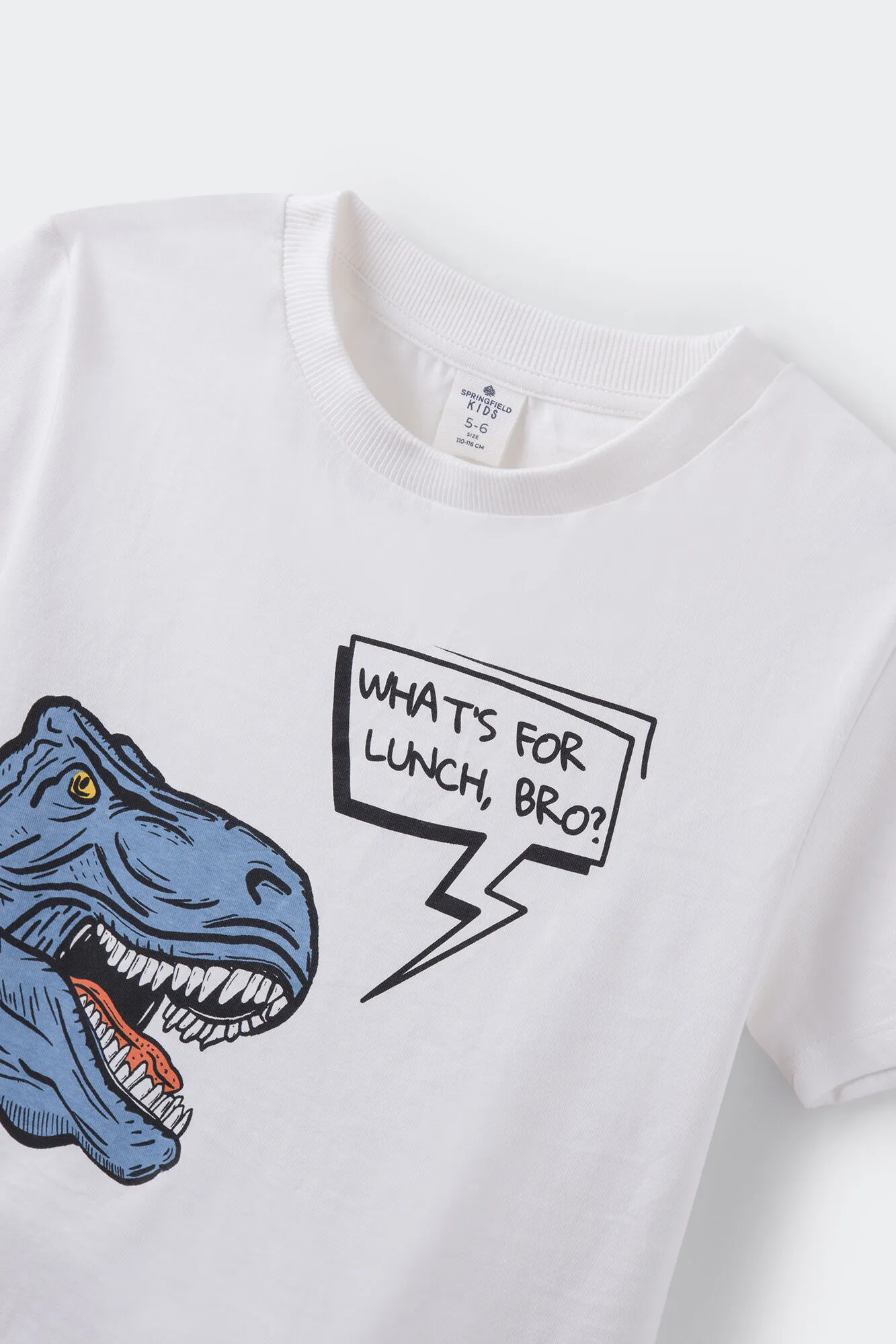 Camiseta print dinosaurio niño