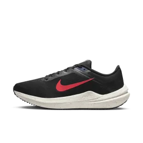 Nike Winflo 10