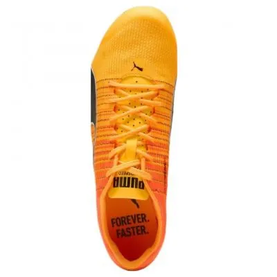 Puma evoSPEED Future Faster+ 4